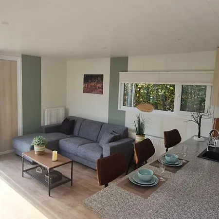 Holiday home Sfeervolle Recreatiewoning In Veluwe *