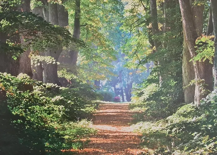 Sfeervolle Recreatiewoning In Veluwe Holiday home